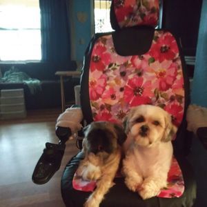 Meet your Posher, Melody